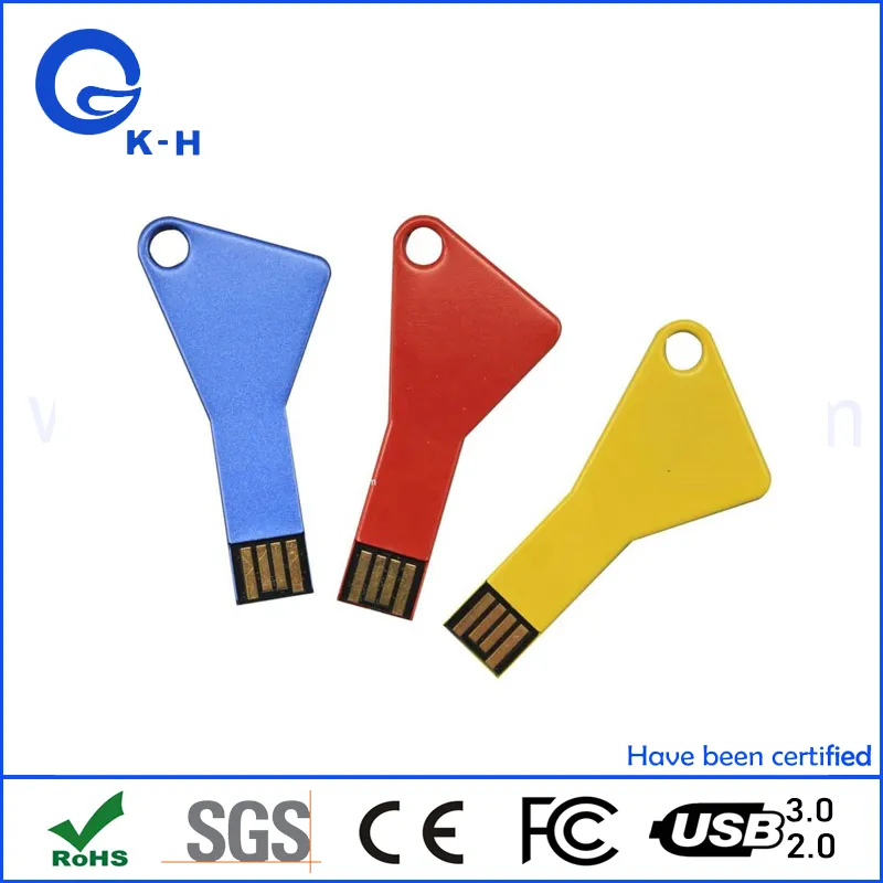Ключевая форма для компьютерного ноутбука USB флеш-накопителя pictures & photos