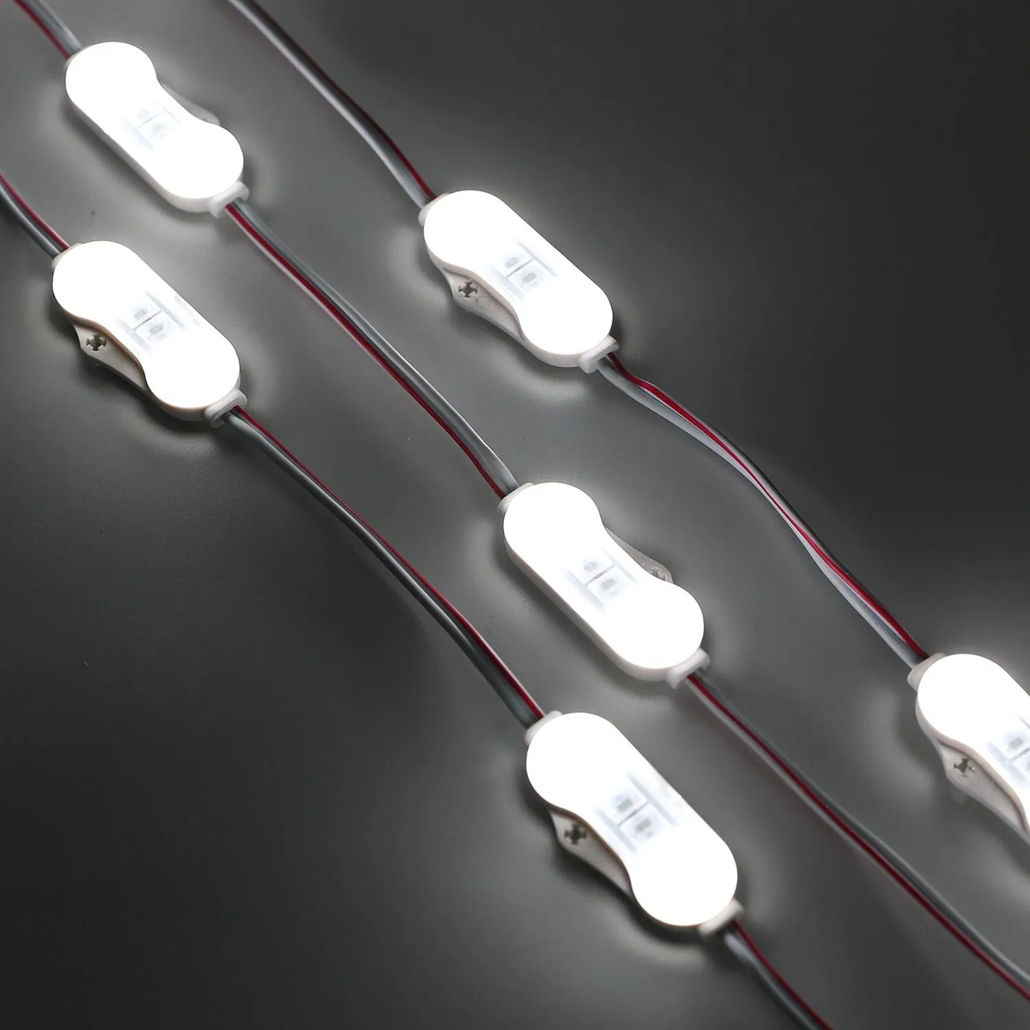 12V Módulo LED IP67 À prova d'água 2LEDs Injeção 1.2W Luz do Módulo LED para Iluminação de Caixas de Luz e Sinais pictures & photos