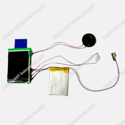 USB-Soundmodul MP3 Sprachmodul Stimmmodul pictures & photos