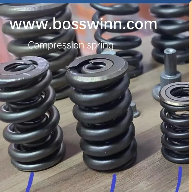 Büyük Bahar Alaşım Çelik Yay Renkli Sıkıştırma Yayı Özel pictures & photos