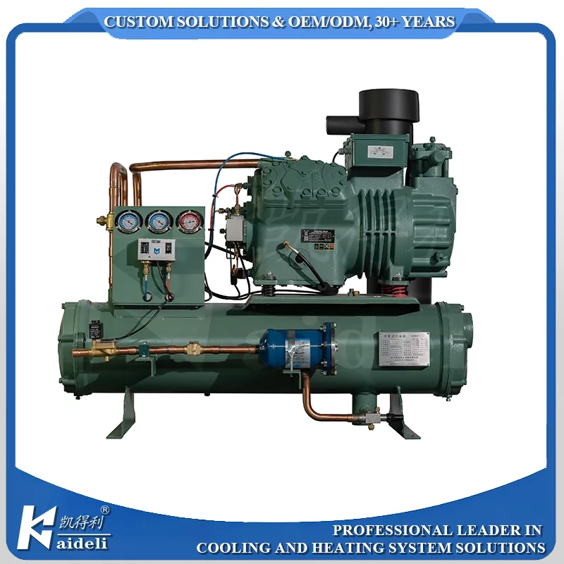 บริการวิศวกรรมโครงสร้างที่มีความแข็งแกร่งสำหรับบริการมืออาชีพ R448A หน่วยควบแน่นสกรูสำหรับการแปรรูปอาหาร pictures & photos