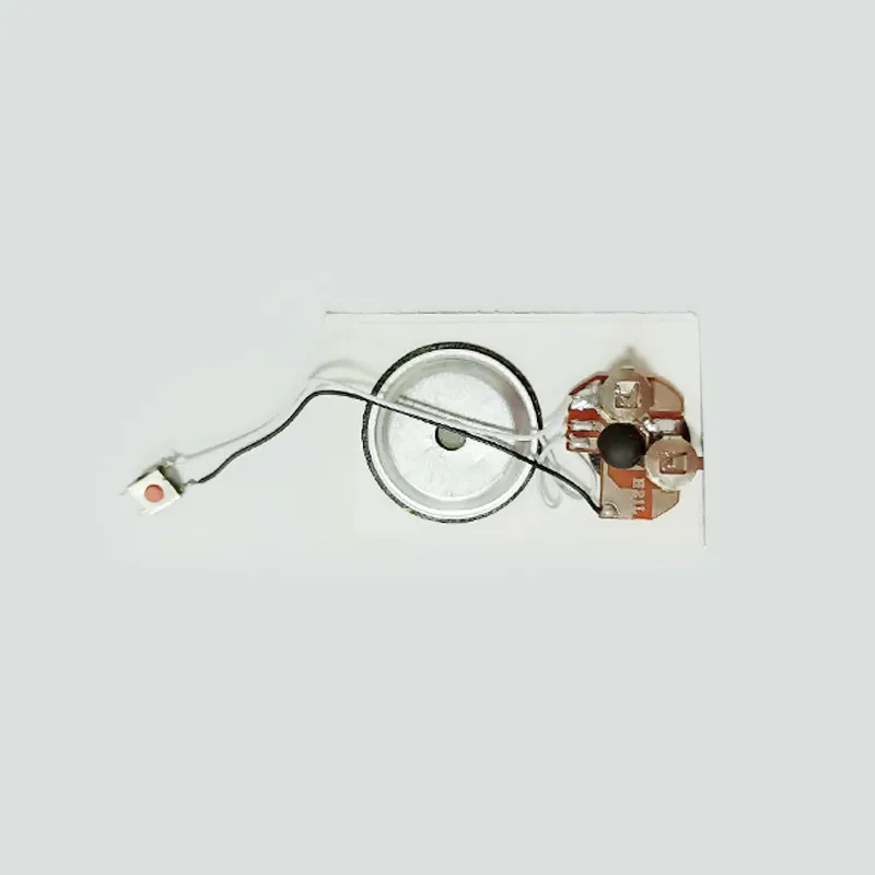 Personalizar o som para gravação cartão chip Module Módulo de som de voz Gravável Módulo de Caixa pictures & photos