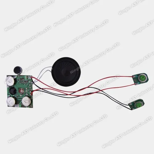USB-Soundmodul MP3 Sprachmodul Stimmmodul pictures & photos