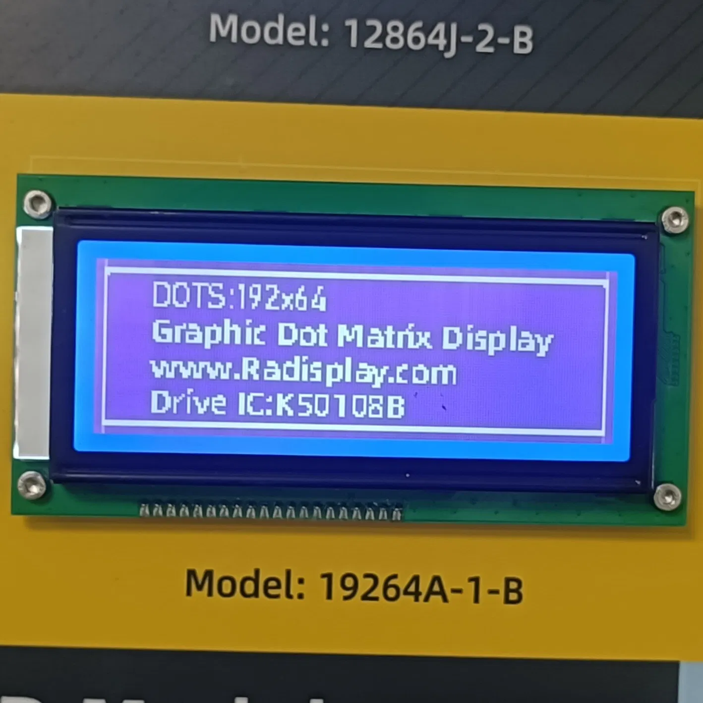 LCD Ekran LCD Renk Paneli LCD Gösterim Modülü pictures & photos
