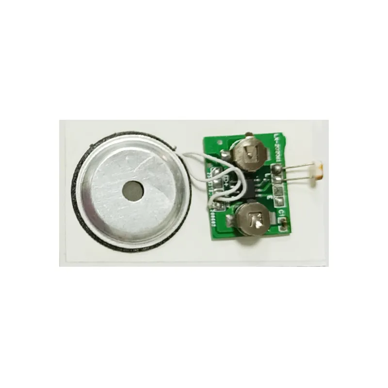 Custom Birthday Song Light Control Chip Modul Sound Chip Modul Sprachmodul pictures & photos