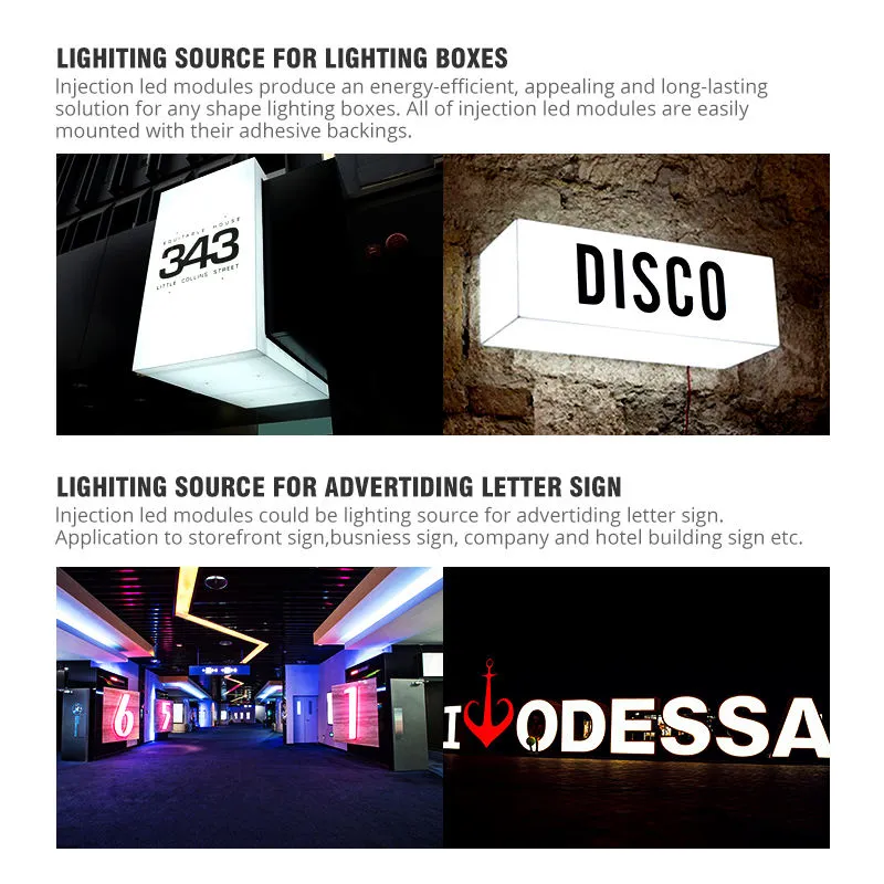 12V Módulo LED IP67 À prova d'água 2LEDs Injeção 1.2W Luz do Módulo LED para Iluminação de Caixas de Luz e Sinais pictures & photos