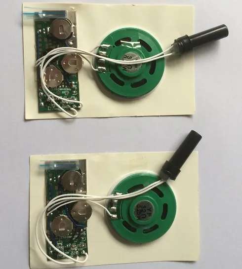 Modulo sonoro pre-registrato con sensore di movimento chip vocale pictures & photos