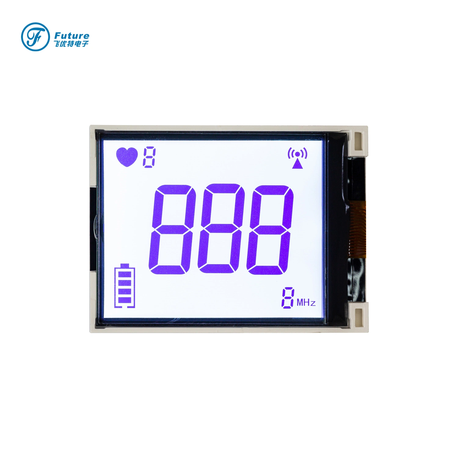 Fabrikproduktion FSTN positives Segment-LCD-Anzeigemodul für Thermometer pictures & photos