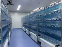 Yüksek Kaliteli Laboratuvar Zebrafish Sistemi Lab Sistemi