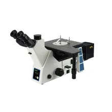Microscopio metallografico ad alta prestazione con controllo, telecamera e analisi delle immagini