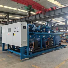 Câmara Fria de Armazenamento Profundo Múltiplos Compressores Unidade de Condensação em Paralelo