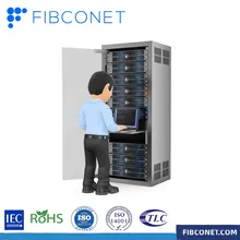 Wandmontierter Server-Telekomschrank 19" Rack-Netzwerk-Rack für Netzwerktechnik Daten