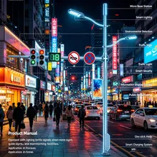 Pólo de Sinalização de Tráfego Inteligente com Display de LED e Sistema de Endereço Público