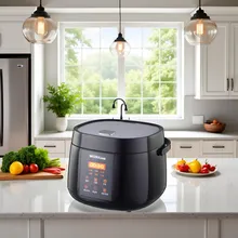 Cucina Elettronica con Multi Programmi Riso Veloce, Riso Fine