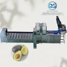 Machine intelligente de tri optique des fruits par IA, machine de tri et de traitement des avocats