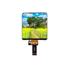 Màn hình LCD hiển thị vuông 5 inch 720*720 chấm cho mô-đun màn hình TFT LCD màu nhỏ 5.08 inch cho nhà thông minh