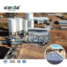 Icesta 100 Ton Beton Soğutma Sistemi Konteyner Tipi Pul Buz Yapma Makinesi ile Buz Depolama ve Buz Kazıma Sistemi