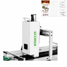 2D Barkod Etiketi Yapıştırıcı Kodlama Makinesi UV Mürekkep Püskürtmeli Yazıcı