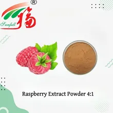 ผงสารสกัดจากราสเบอร์รี่ 4: 1 สารสกัดจากผลราสเบอร์รี่ Rubus Idaeus ผงสารสกัด