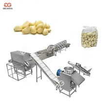 Processo di produzione completamente automatico di polvere d'aglio Linea di produzione per la produzione di polvere d'aglio