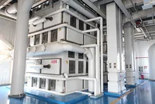 Macchina per la lavorazione dell'olio, progetto di preparazione delle oleaginose, macchina per la produzione di olio di arachidi, soia, colza, crusca di riso