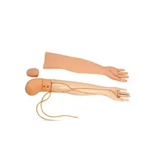 Fortgeschrittenes PVC Sc-HS3 Vollfunktionsarm Veni-Punktionsinjektionsmedizinisches Modell