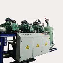 Parafuso Unidade de Condensação Paralela, Equipamento de Refrigeração para Câmaras Frias de Grande Armazenamento, Sistema de Compressor de Parafuso Paralelo