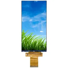 Levering 5.5 Inch TFT LCD 480X960 Resolutie Mipi Interface IPS Volledig Weergave Raspberry Pie Display Mipi Scherm Module