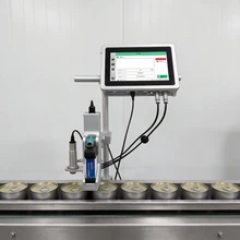 Meertalige datum-batchcodeermachine met online-inkjetprinter codermachine