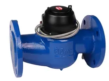 無線通信機能 R80/R100/R160 有線水道メーター/遠隔監視水道メーター 防水 IP68 インテリジェントシステム管理付き