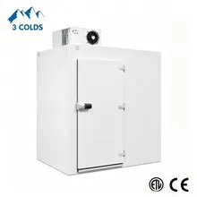 Unité de condensation avec réfrigérant écologique R455A /R454c pour stockage en chambre froide