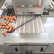 Automatic Chicken Nesting Box with Egg Collection System