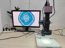 Microscópio Digital Óptico de Alta Definição para Detecção de Insetos e Amostras