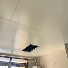 Carreaux de plafond en aluminium - Personnalisables avec des motifs perforés
