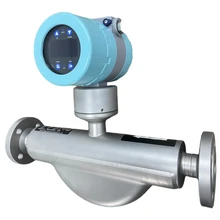 Fortgeschrittener Coriolis-Durchflussmesser für präzise Prozesskontrolle