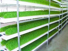 Glattes Futterwachstumsregal-Tray-System Hydroponik-Ausrüstung Kunststoff-Futterrohrsystem