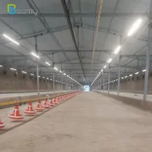 โซลูชันการให้แสงสว่างแบบต่อเนื่องด้วยหลอด LED สำหรับไก่ ระบบควบคุมแสงสว่าง