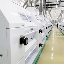 Intelligentes Weizenverarbeitungssystem mit innovativen Verpackungsmerkmalen