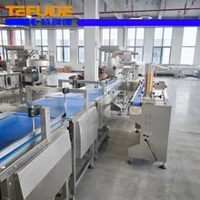 Tefude Gıda Besleme ve Tepsi Yükleme Otomatik Paketleme Hattı Sistemi Tefude Gıda Besleme ve Tepsi Yükleme Otomatik Paketleme Hattı Sistemi