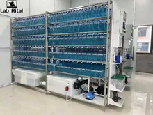 Automatisches Rückführsystem für Zebrafische zur Kultivierung in einem Labor-Multitankregal mit Filtration und Temperaturregelung