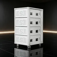 Sistema di Accumulo di Energia a Batteria Montato su Rack Intelligente 64kwh con Funzionalità di Monitoraggio Visivo Remoto