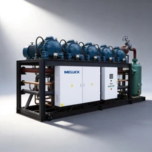 Unidade de Refrigeração Paralela para Grande Armazenamento Frigorífico, Sistema de Compressores de Parafuso Industrial