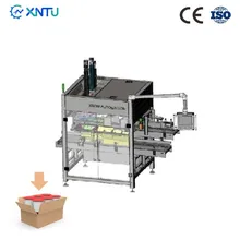 Máquina Empacotadora de Caixas por Queda Elétrica Tipo Queda Máquina de Embalagem de Sacos em Cartonagem Máquina Empacotadora de Caixas por Queda Elétrica Tipo Queda Máquina de Embalagem de Sacos em Cartonagem