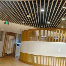Panel de techo y revestimiento de pared WPC - Impermeable