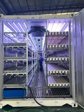 Container Móvel Agrícola 40 Container de Agricultura Vertical Modular Sistema de Cultivo Hidropônico
