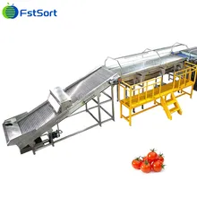 Kiraz Domatesleri Sınıflandırma Paketleme Makinesi Ayarlanabilir Boyutlu Rulo Sınıflandırma Makinesi Otomatik Tartım Paketleme Sistemi Kiraz Domatesleri Sınıflandırma Paketleme Makinesi Ayarlanabilir Boyutlu Rulo Sınıflandırma Makinesi Otomatik Tartım Paketleme Sistemi