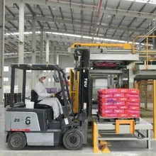 Sistema di palletizzazione automatica a livello elevato diretto dalla fabbrica Sistema di palletizzazione automatica a livello elevato diretto dalla fabbrica