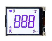 Módulo de Display LCD Segmentado FSTN Positivo da Fábrica de Hunan