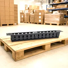 19-Inch 24-Port Sistema di gestione dei cavi per rack per una rete organizzata