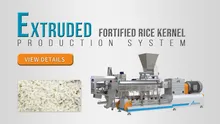 Machine de fabrication de riz fortifié Frk Ligne de traitement de riz artificiel instantané